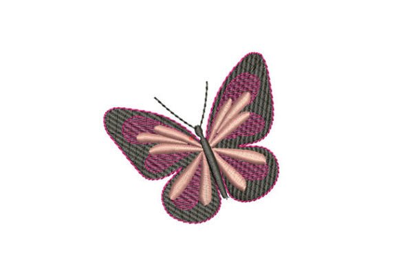 Black Butterfly Embroidery Review